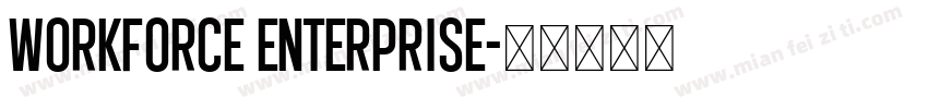 Workforce Enterprise字体转换